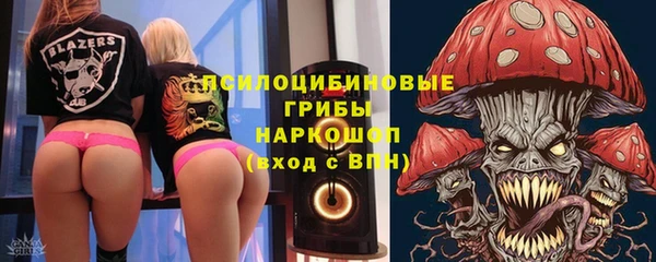 ПСИЛОЦИБИНОВЫЕ ГРИБЫ Арсеньев