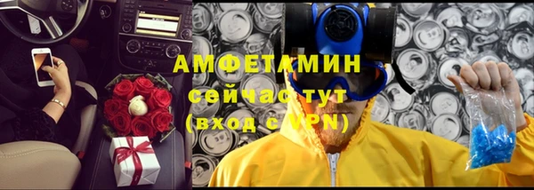 ПСИЛОЦИБИНОВЫЕ ГРИБЫ Арсеньев