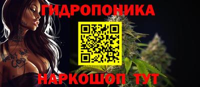 apvp Кунгур