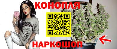 apvp Кунгур