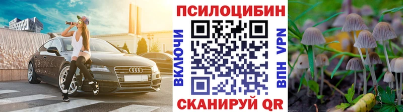 Псилоцибиновые грибы Psilocybine cubensis  Джанкой 